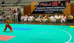 Ikatan-Pencak-Silat-Indonesia