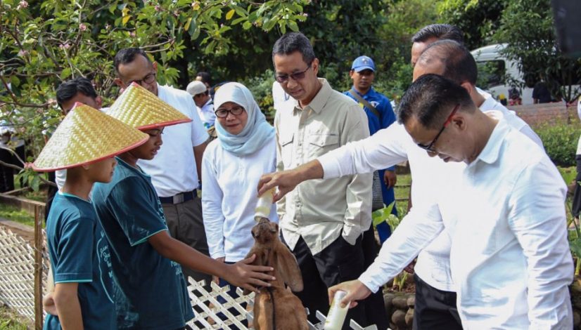 wisata-agroedukasi-bersama-anak-anak-panti-asuhan-binaan-Dinas-Sosial-DKI