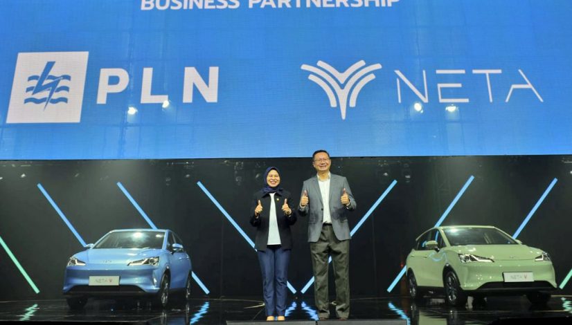 PLN-dan-NETA