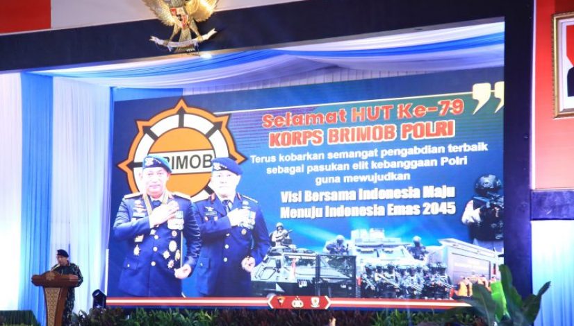 IMG-20241114-WA0009
