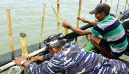 Bongkar Pagar Laut 5