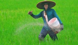 Petani Petani