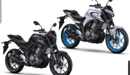 Yamaha-MT-25