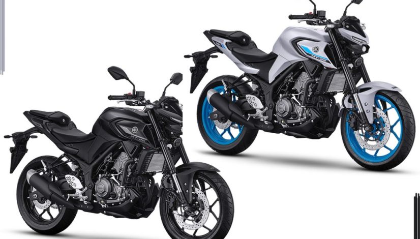 Yamaha-MT-25
