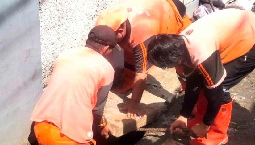 IMG-20250423-WA0023_2