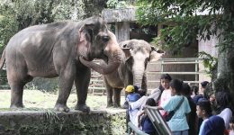 IMG-20250530-WA0021