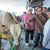 IMG-20250607-WA0026
