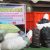 IMG-20250622-WA0010
